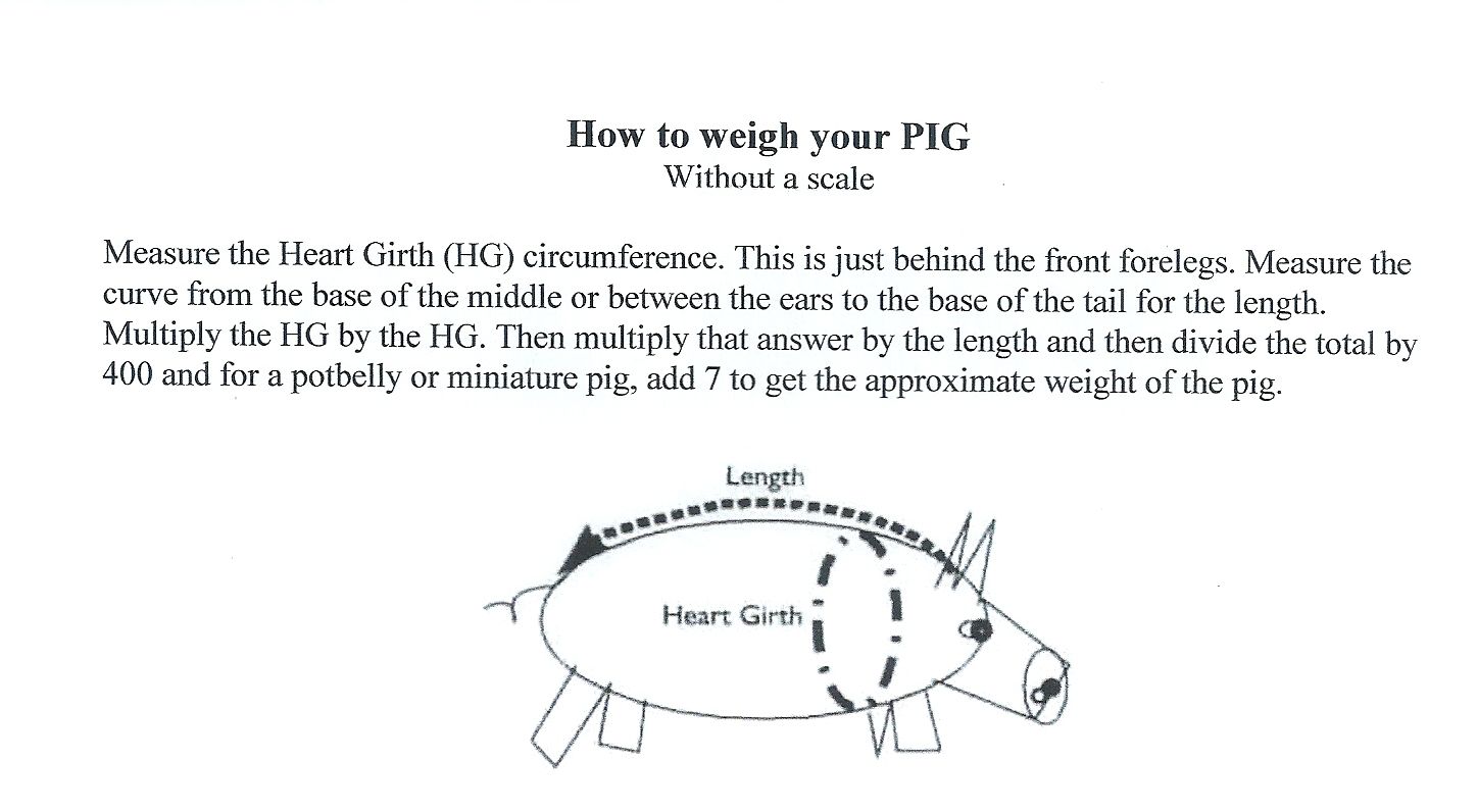 Mini Pig Weight Chart By Age